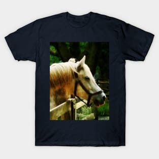 Horses - White Horse Closeup T-Shirt